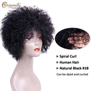 Human Hair Wigs for Black Women Curly Wigs Brazilian Remy Black Wigs Glueless Wigs Human Hair Wefted Wig Caps